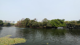 火箭少女杨超越发文称跳皮筋捉泥鳅这些都so easy